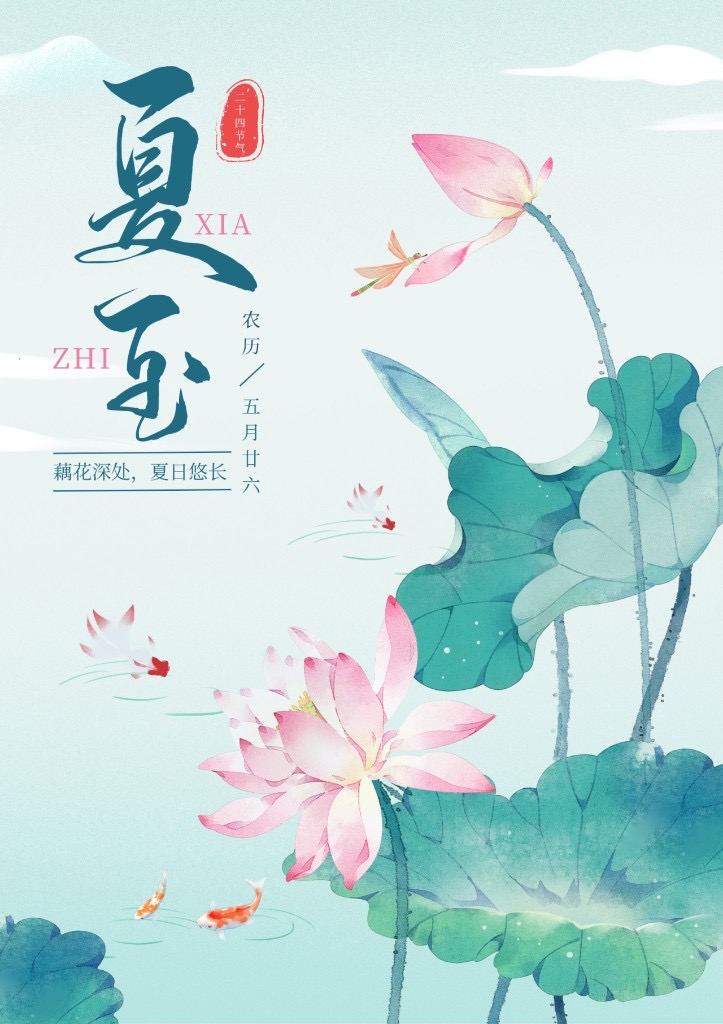 夏至节气海报