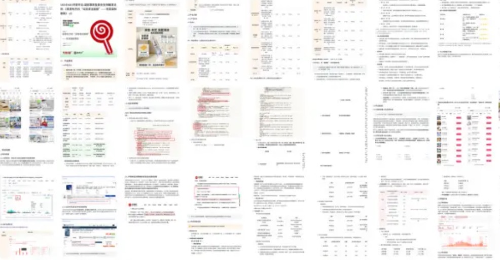 新品开品分析与产品复盘作品展示